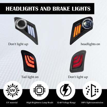 VPAHub Basic Light Kit Fit for YAMAHA Drive 2, 2 LED headlight, 2 LED taillight, 1 Basic wiring harness Instruction & hardware included